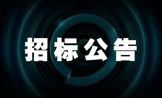 2025年马博在线客服,社交种草项目-招标公告
